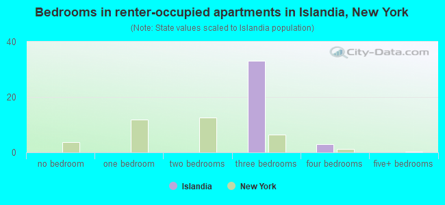 Bedrooms in renter-occupied apartments in Islandia, New York