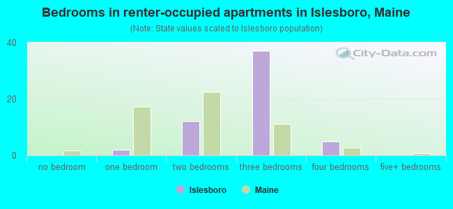 Bedrooms in renter-occupied apartments in Islesboro, Maine