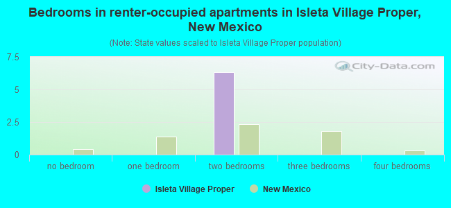 Bedrooms in renter-occupied apartments in Isleta Village Proper, New Mexico