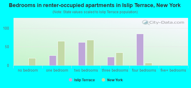 Bedrooms in renter-occupied apartments in Islip Terrace, New York