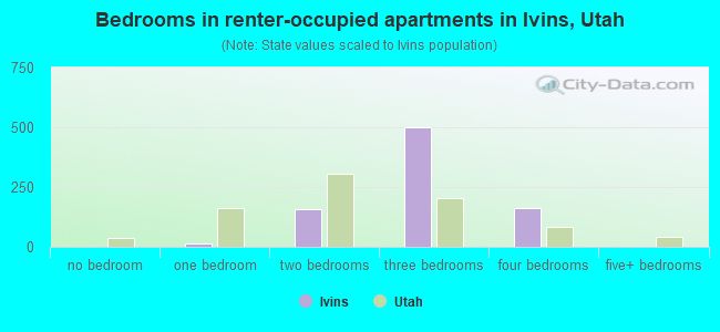 Bedrooms in renter-occupied apartments in Ivins, Utah