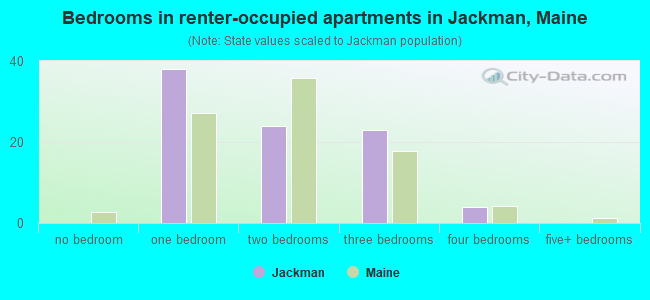 Bedrooms in renter-occupied apartments in Jackman, Maine