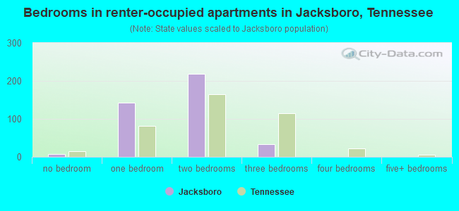 Bedrooms in renter-occupied apartments in Jacksboro, Tennessee