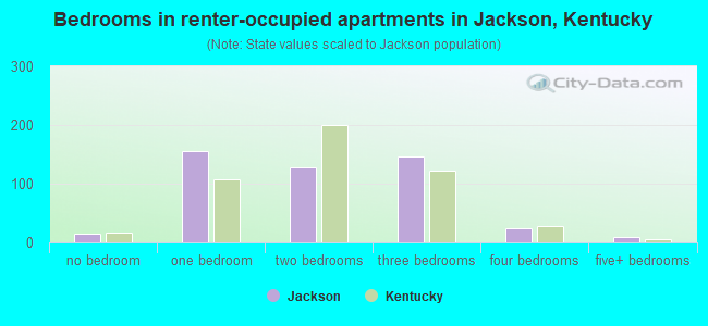Bedrooms in renter-occupied apartments in Jackson, Kentucky