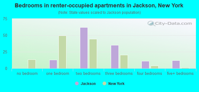 Bedrooms in renter-occupied apartments in Jackson, New York