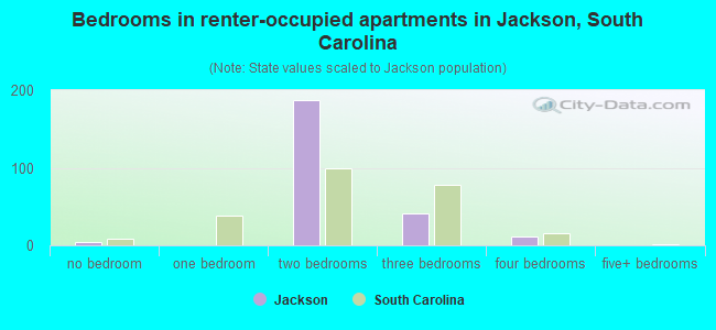 Bedrooms in renter-occupied apartments in Jackson, South Carolina