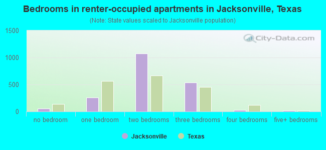 Bedrooms in renter-occupied apartments in Jacksonville, Texas