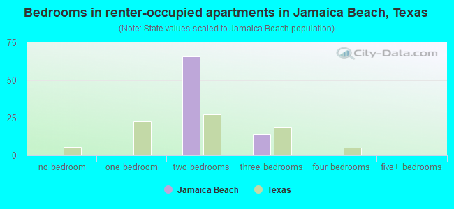 Bedrooms in renter-occupied apartments in Jamaica Beach, Texas