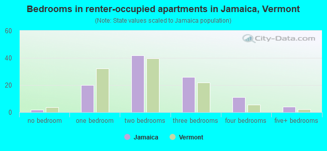 Bedrooms in renter-occupied apartments in Jamaica, Vermont