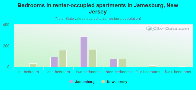 Bedrooms in renter-occupied apartments in Jamesburg, New Jersey