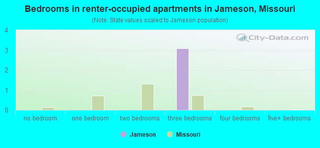 Bedrooms in renter-occupied apartments in Jameson, Missouri