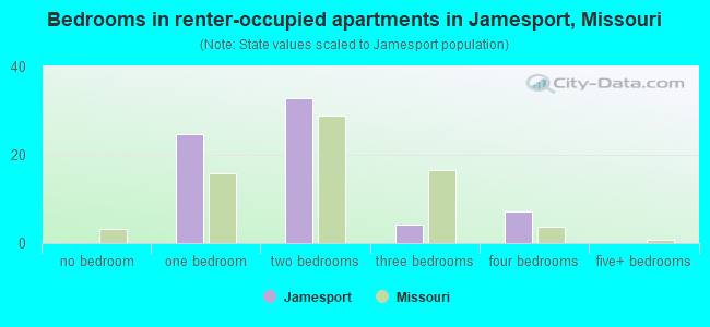 Bedrooms in renter-occupied apartments in Jamesport, Missouri