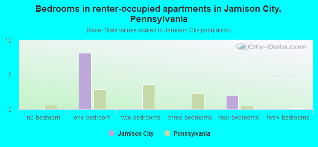 Bedrooms in renter-occupied apartments in Jamison City, Pennsylvania