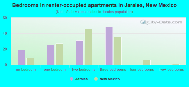 Bedrooms in renter-occupied apartments in Jarales, New Mexico