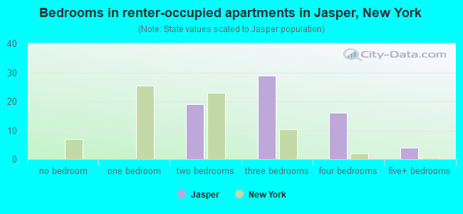 Bedrooms in renter-occupied apartments in Jasper, New York