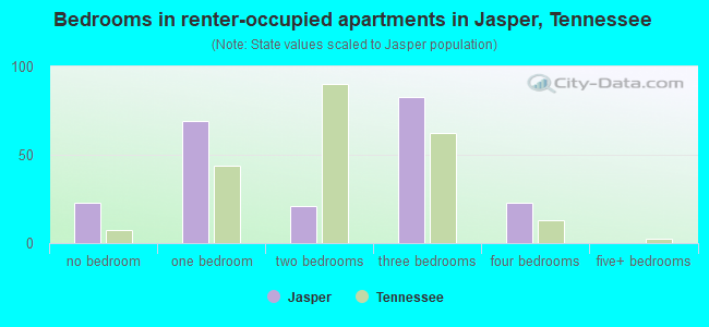 Bedrooms in renter-occupied apartments in Jasper, Tennessee