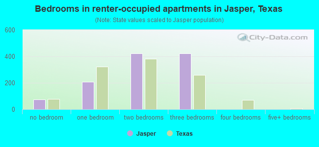 Bedrooms in renter-occupied apartments in Jasper, Texas