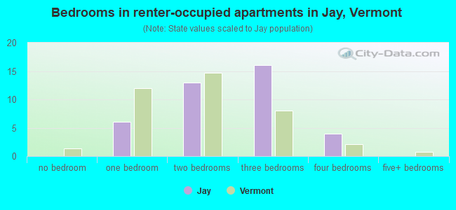 Bedrooms in renter-occupied apartments in Jay, Vermont