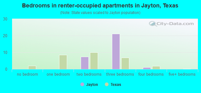 Bedrooms in renter-occupied apartments in Jayton, Texas