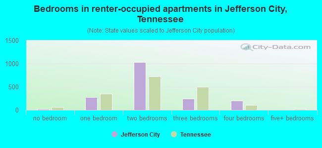 Bedrooms in renter-occupied apartments in Jefferson City, Tennessee