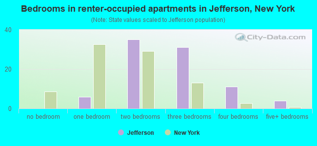 Bedrooms in renter-occupied apartments in Jefferson, New York