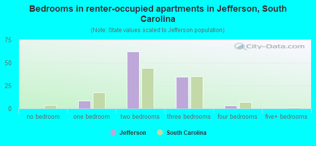 Bedrooms in renter-occupied apartments in Jefferson, South Carolina