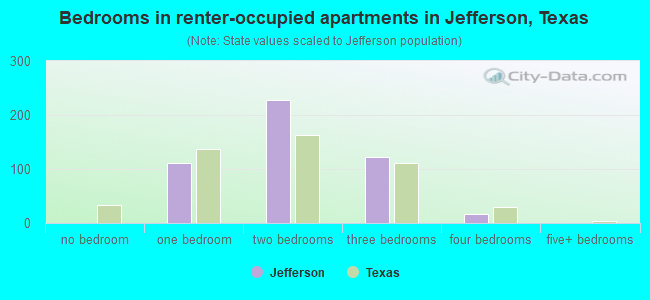 Bedrooms in renter-occupied apartments in Jefferson, Texas
