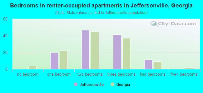 Bedrooms in renter-occupied apartments in Jeffersonville, Georgia