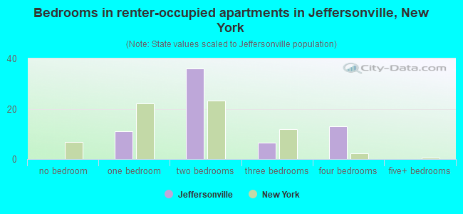 Bedrooms in renter-occupied apartments in Jeffersonville, New York