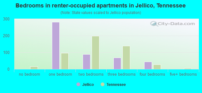 Bedrooms in renter-occupied apartments in Jellico, Tennessee