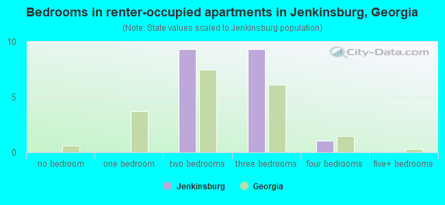 Bedrooms in renter-occupied apartments in Jenkinsburg, Georgia