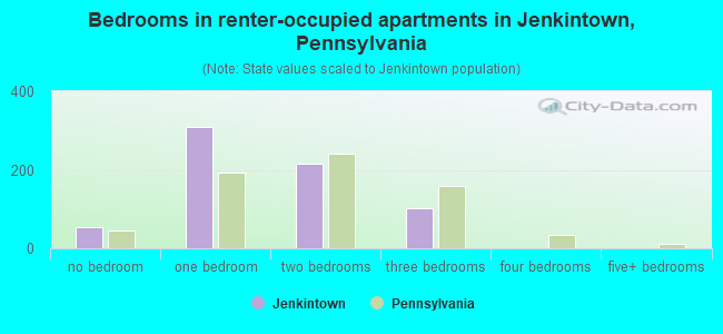Bedrooms in renter-occupied apartments in Jenkintown, Pennsylvania
