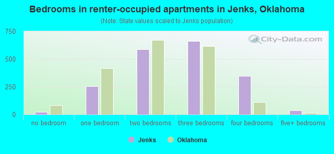 Bedrooms in renter-occupied apartments in Jenks, Oklahoma
