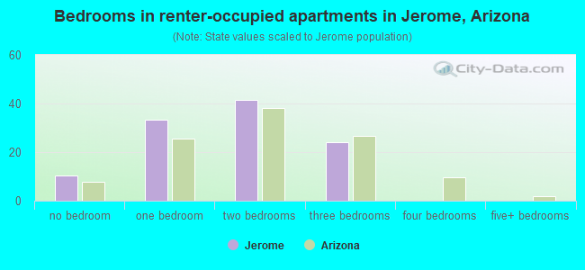 Bedrooms in renter-occupied apartments in Jerome, Arizona