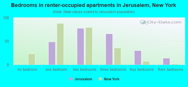 Bedrooms in renter-occupied apartments in Jerusalem, New York