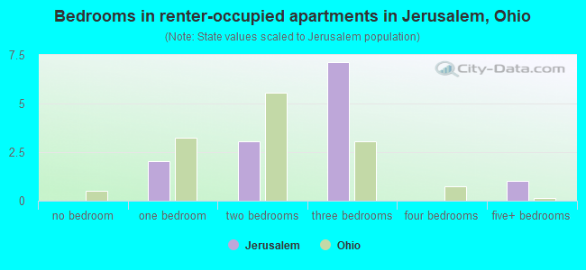 Bedrooms in renter-occupied apartments in Jerusalem, Ohio