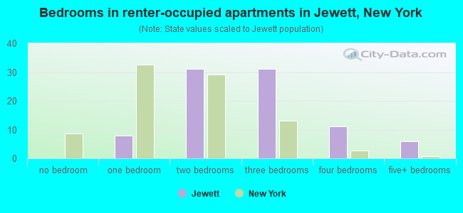 Bedrooms in renter-occupied apartments in Jewett, New York
