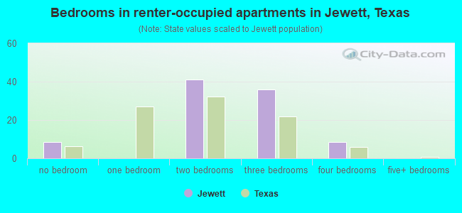 Bedrooms in renter-occupied apartments in Jewett, Texas