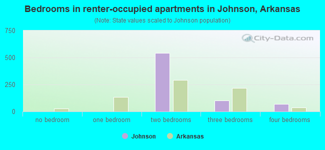 Bedrooms in renter-occupied apartments in Johnson, Arkansas