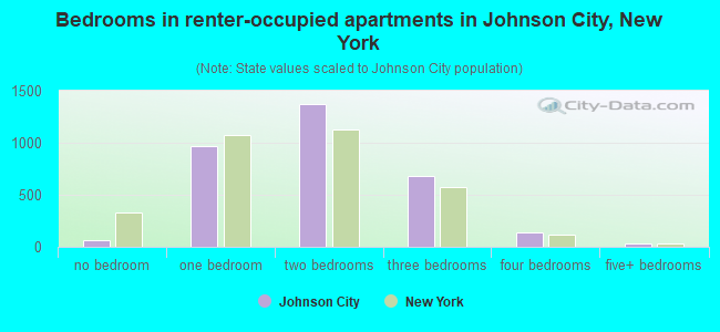 Bedrooms in renter-occupied apartments in Johnson City, New York
