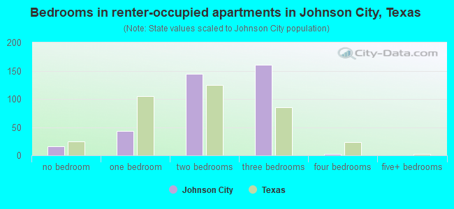 Bedrooms in renter-occupied apartments in Johnson City, Texas