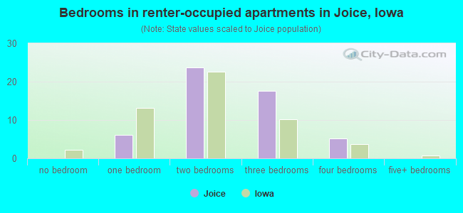Bedrooms in renter-occupied apartments in Joice, Iowa
