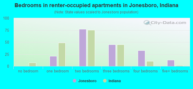 Bedrooms in renter-occupied apartments in Jonesboro, Indiana