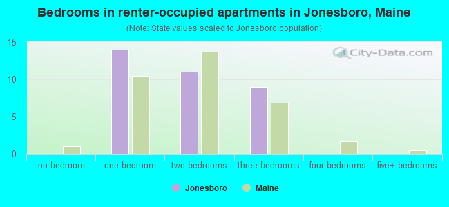 Bedrooms in renter-occupied apartments in Jonesboro, Maine