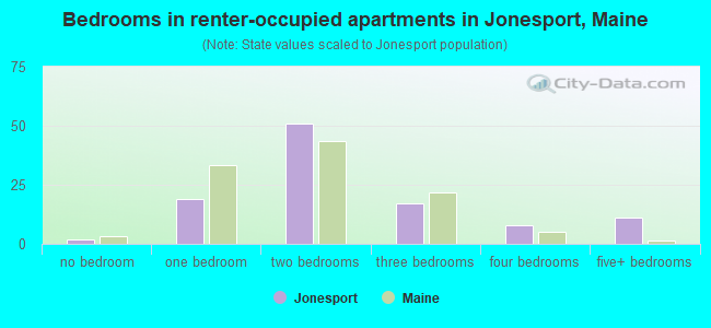 Bedrooms in renter-occupied apartments in Jonesport, Maine