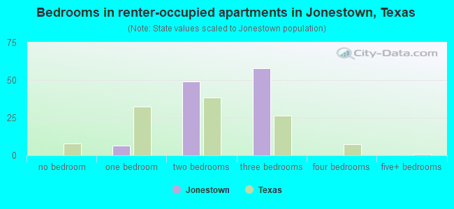 Bedrooms in renter-occupied apartments in Jonestown, Texas