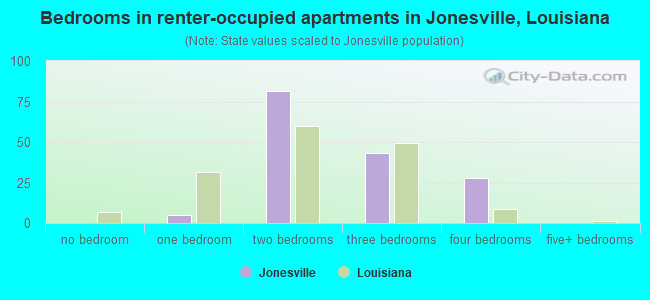 Bedrooms in renter-occupied apartments in Jonesville, Louisiana