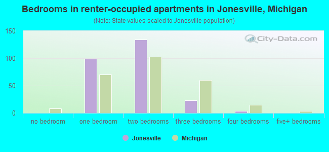 Bedrooms in renter-occupied apartments in Jonesville, Michigan