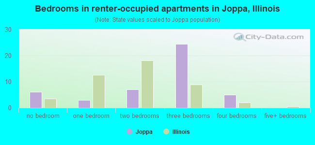Bedrooms in renter-occupied apartments in Joppa, Illinois