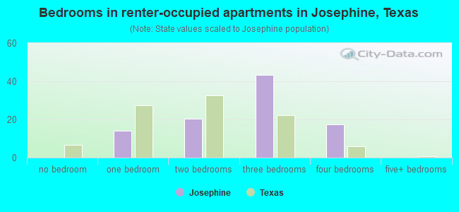 Bedrooms in renter-occupied apartments in Josephine, Texas